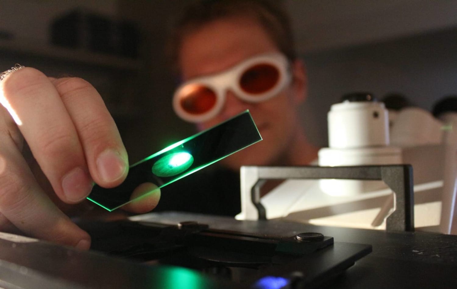 About us › Rapp OptoElectronic