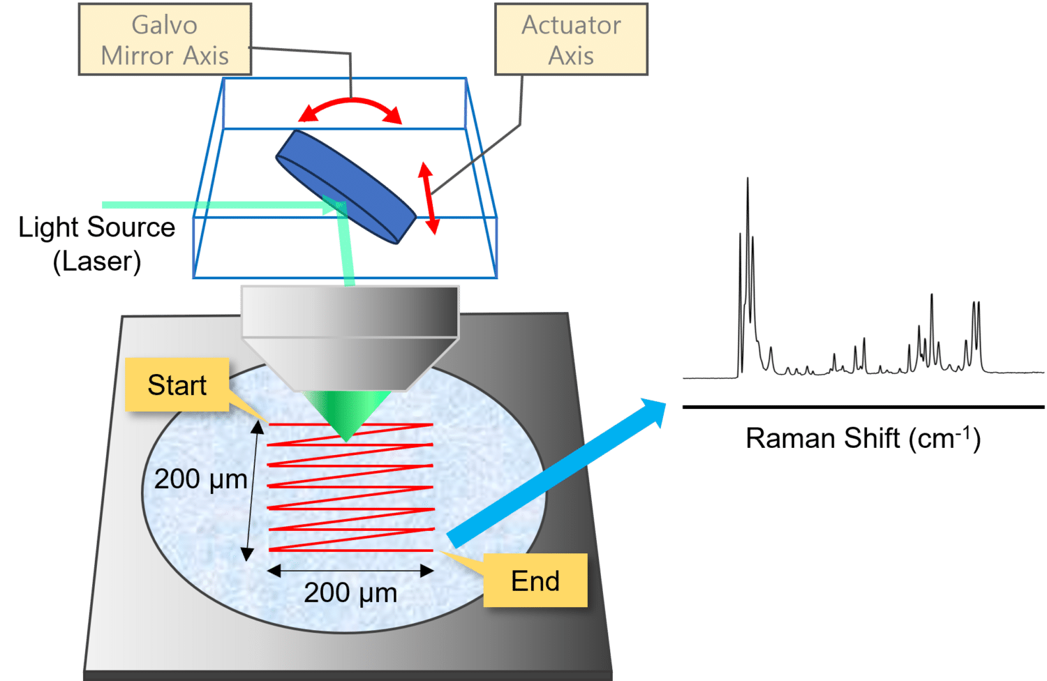 XperRAM C Series › Rapp OptoElectronic