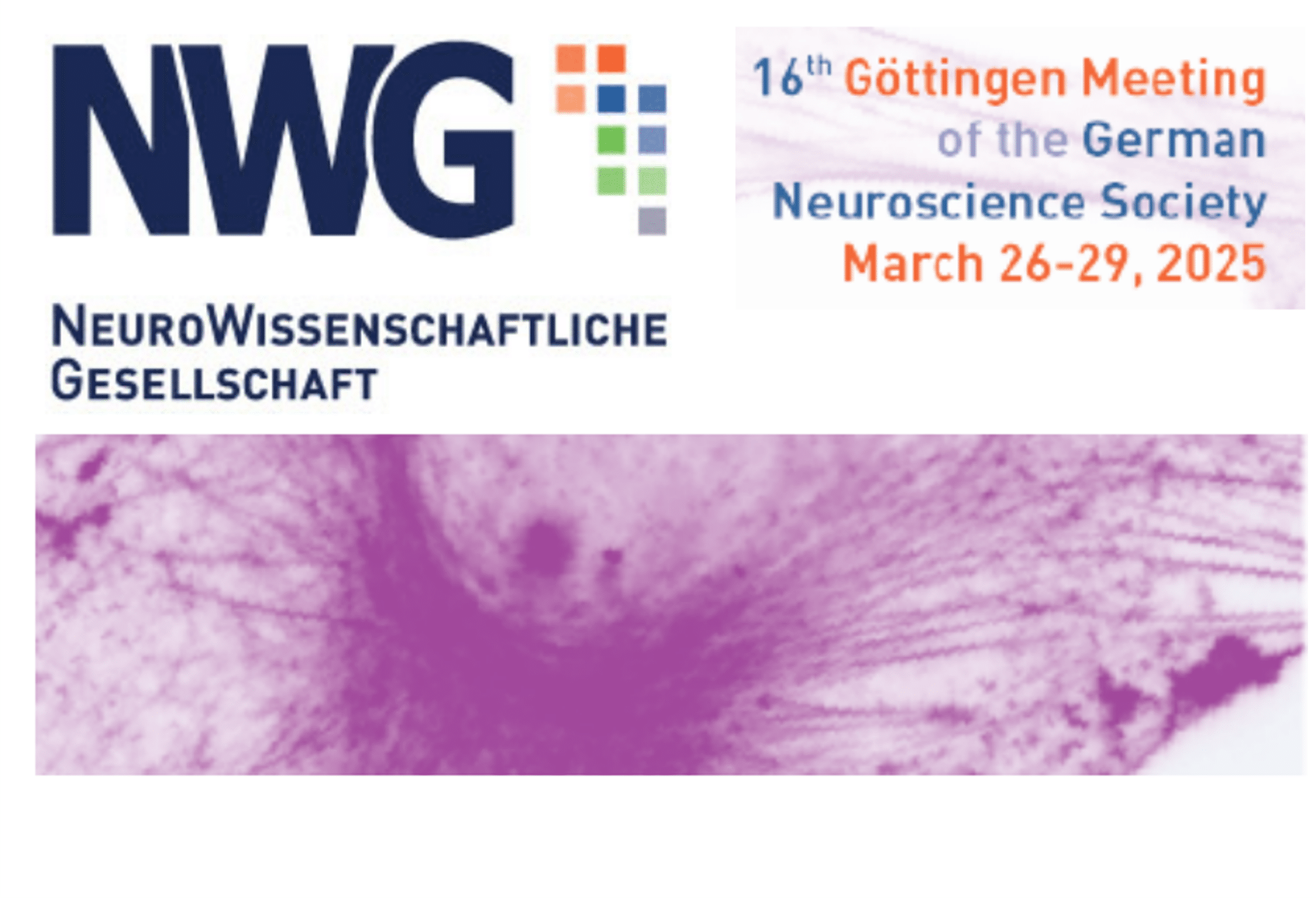  NWG 2025 – Göttingen Meeting of the German Neuroscience Society › Rapp Bildidee 
