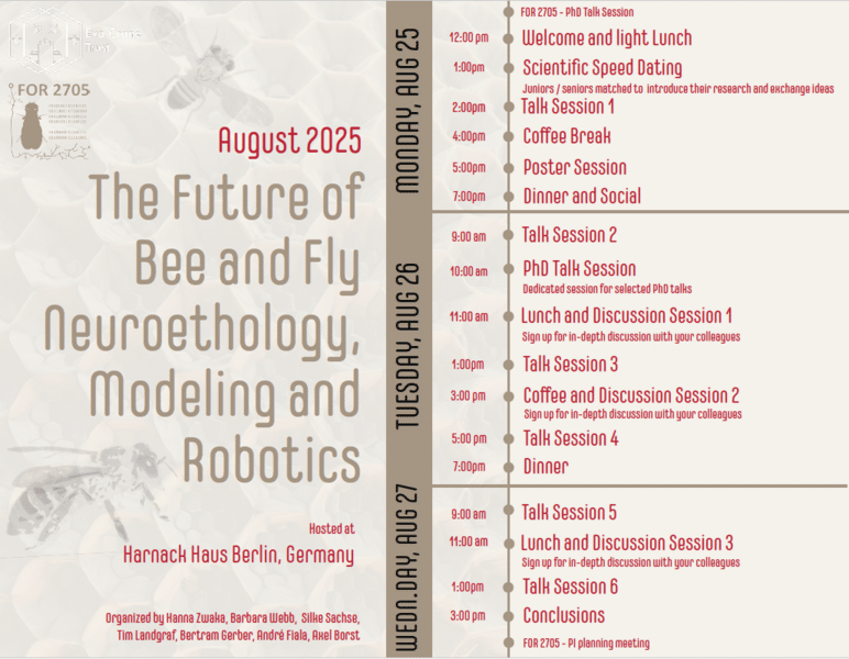The Future of Bee and Fly Neuroethology, Modeling and Robotics – LIN Magdeburg