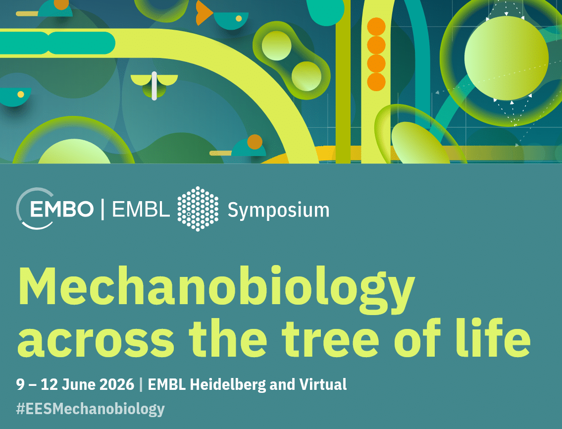 EMBO | EMBL Symposium: Mechanobiology across the tree of life