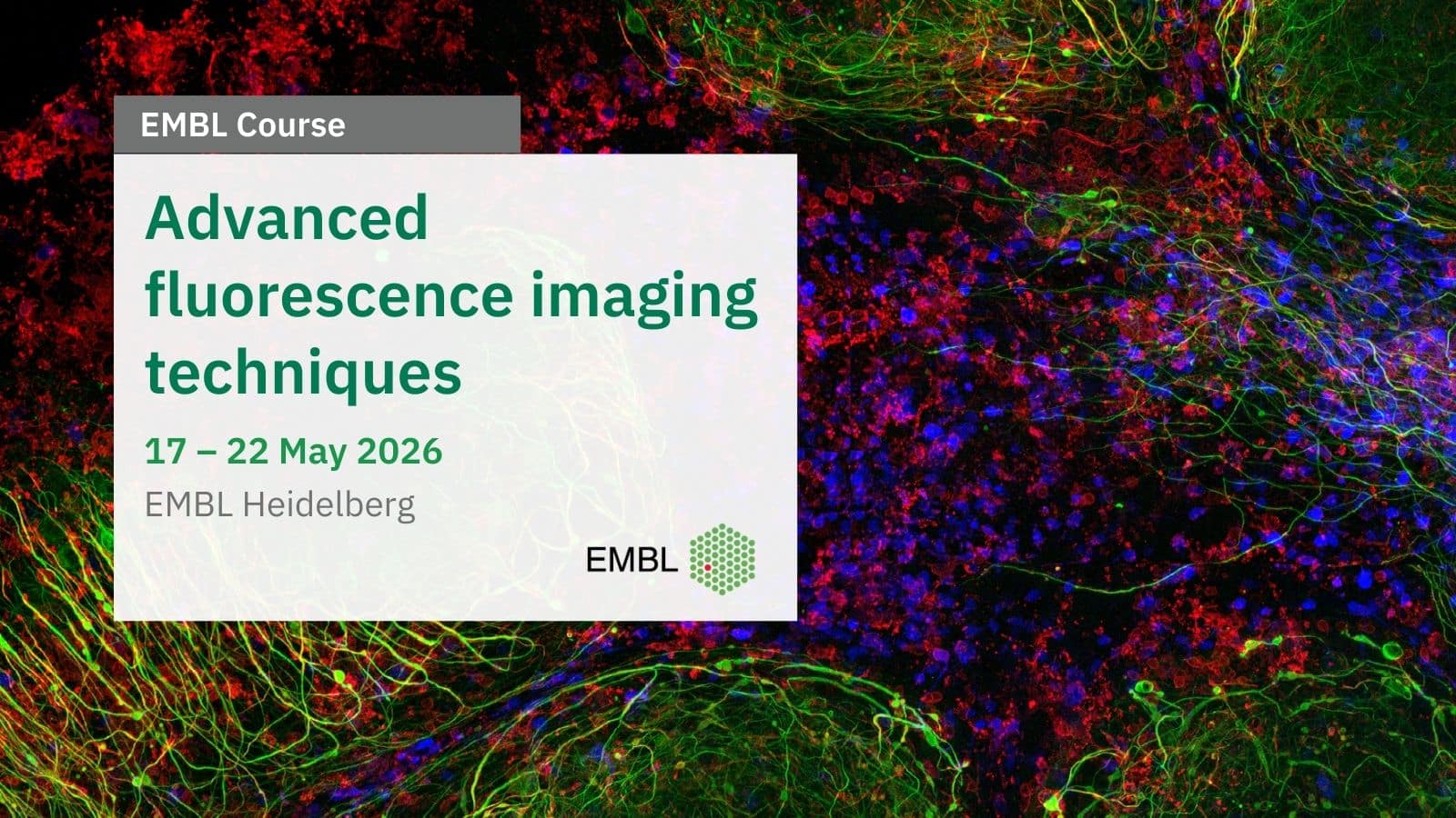 EMBL Course: Advanced fluorescence imaging techniques