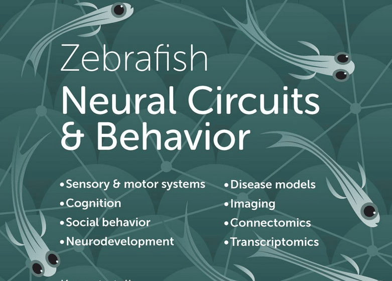 Zebrafish Neural Circuits & Behavior Meeting 2026 MPI-BI